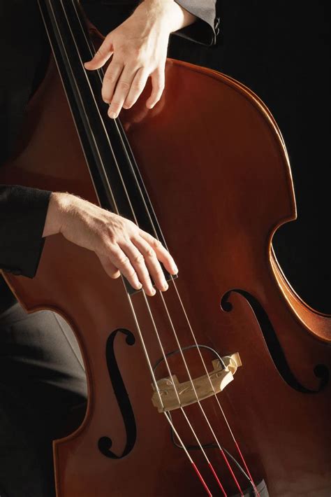 How To Train Your Ear For Perfect Pitch Making Music Magazine Double Bass Violin Music