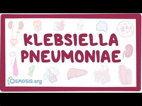 Klebsiella pneumoniae - causes, symptoms, diagnosis, treatment, pathology : r/osmoseit