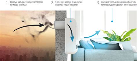 Как сделать воздух в квартире чистым и свежим не открывая окно - 88 фото