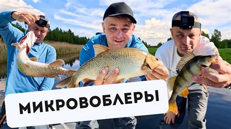 На МИКРОВОБЛЕРЫ клюёт разная рыба! Ловля рыбы на маленькие воблеры на ...