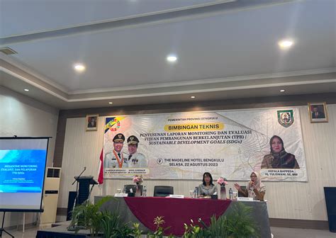 Sekretariat Nasional Sdgs Berikan Bimbingan Teknis Penyusunan Laporan