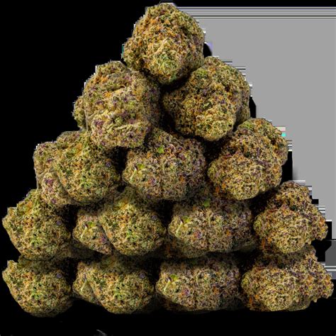 Arizona Organix Dispensary