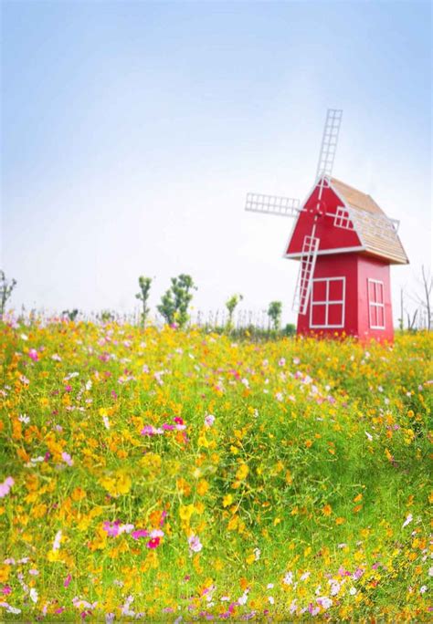 Season Backdrops Summer Backgrounds Flower Backdrop Windmill N11488-E ...