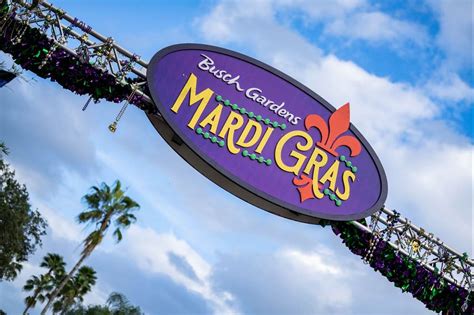 Busch Gardens Tampa Bays Mardi Gras Celebration Begins January