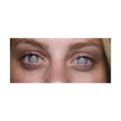 Black Sclera Contact Lenses Artofit