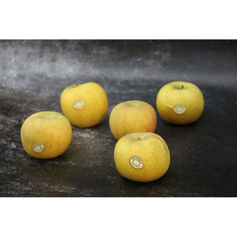 Pomme Chantecler Belchard Lot De 5 Commandez Sur Maison Seyssac