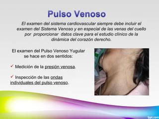 Pulso Arterial Y Venoso PPT