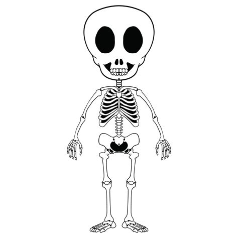 What Is A Printable Human Skeleton Template