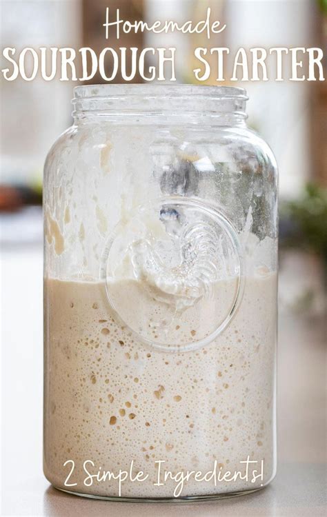 How To Make A Sourdough Starter From Scratch Artofit