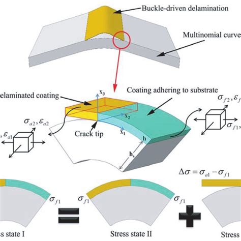 Schematic Diagram Of Buckle Driven Delamination A Three Dimensional