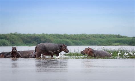 Lake Albert-Uganda Safaris-Laba Africa Expeditions