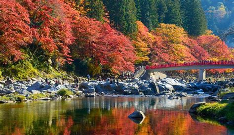 20 Best Spots for Autumn in Japan (Fall Foliage Viewing)