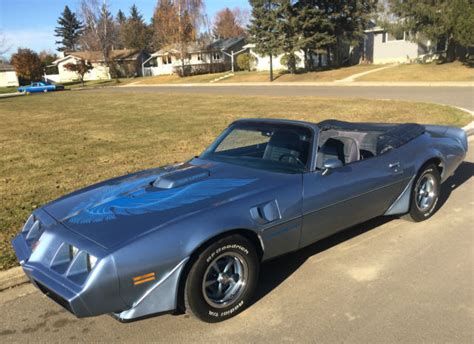 1981 Pontiac Trans Am Rare Dealer Ordered Convertible High Optioned