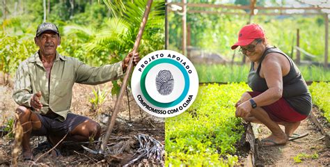 Projeto Redd Jari Amap Completa Sua Verifica O De Cr Ditos De Carbono