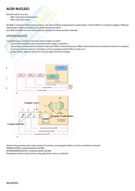 Riassunti Esame Di Fondamenti Di Biologia