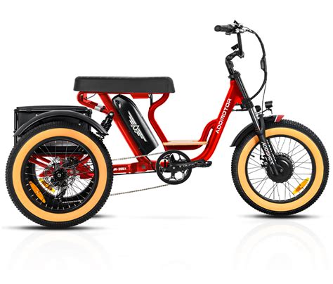 Pros And Cons Of Buying An Adult Electric Trike