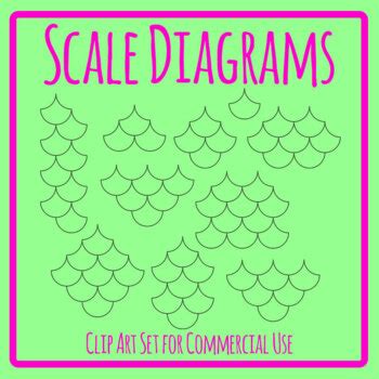 Scale Diagrams / Graphic Organisers for Number Bonds / Tree Diagrams ...