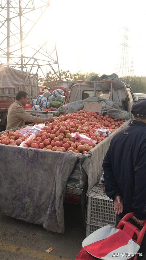 河北農民的首都情：早上4點進京擺攤賣菜，只為讓北京人吃的放心 每日頭條