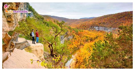 5 Best Hiking in Arkansas Ozarks for Outdoor Lovers