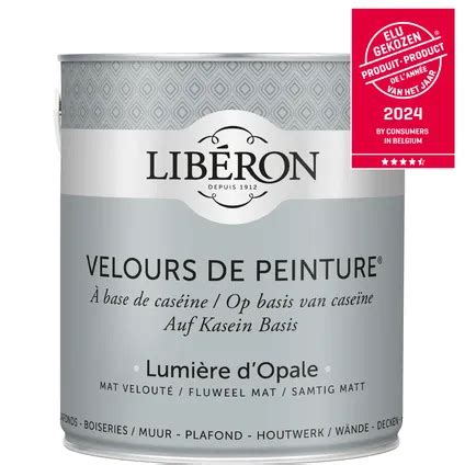 Peinture Murale Lib Ron Velours De Peinture Lumi Re Dopale Mat Velout