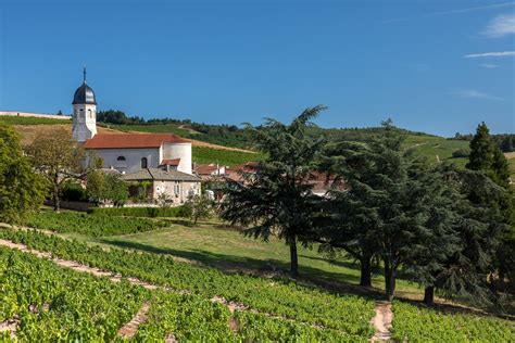 15 Bonnes Raisons Daller Dans Le Beaujolais Site Officiel Des Vins