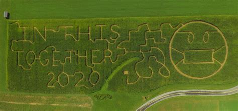 Corn Maze | Honey Haven Farm