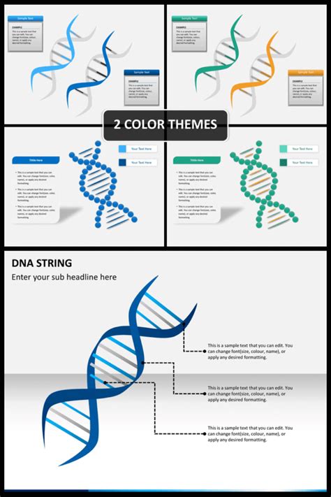 20 Best Dna Powerpoint Templates Masterbundles