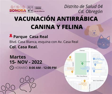 Salud Sonora On Twitter 📢atenciÓn Cajeme 💉vacunación Canina Y