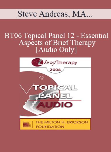 5 Audio Only BT06 Topical Panel 12 Essential Aspects Of Brief