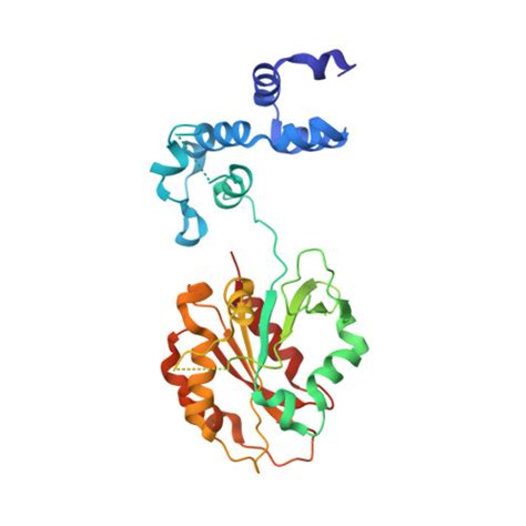 Gene Q9ukt5 Protein Fbxo4 Cell Line Evidence Cansarai