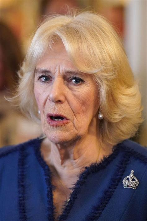 No Context Queen Camilla On Twitter Rt Rexregbrit The Queen Proudly