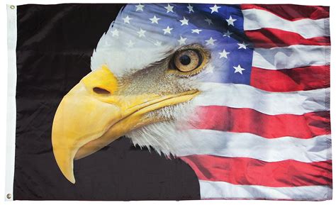 A Us Flag Eagle