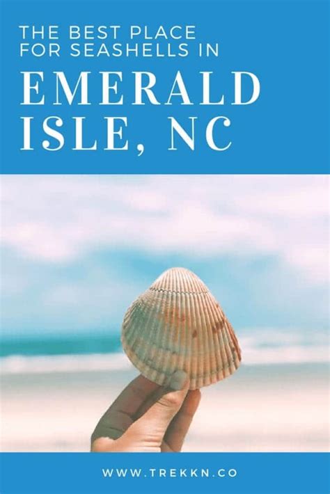 Emerald Isle Beaches: Visit The Point for Amazing Seashells - TREKKN