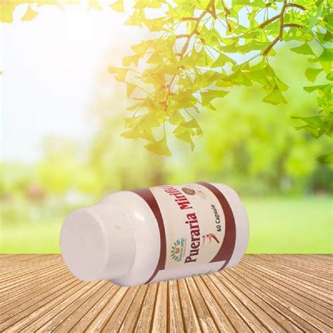 Pueraria Mirifica Capsules at Rs 120/bottle | Herbal Capsules in ...