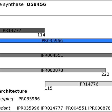 Non Overlapping And Non Redundant Domain Architecture Of Diphthine