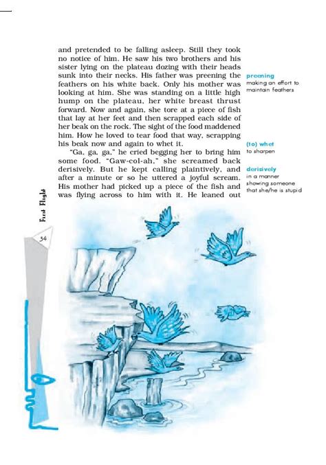 NCERT Book Class 10 English Chapter 3 Two Stories about Flying; His First Flight; Black ...