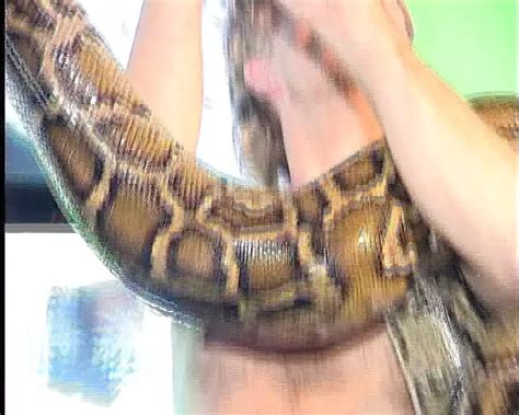 Free Vintage Xxx Porn Videos Xhamster