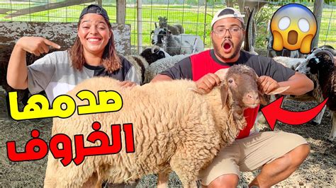 وأخيرا اشترينا خروف العيد🐑😱 ابتسام صدمها حيت غالي 😲💔 Youtube