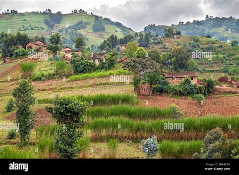 Rwanda Land Of A Thousand Hills Stock Photo Alamy