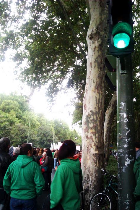 Mareaverde Im Genes De La Manifestaci N De La Mareaverde El De