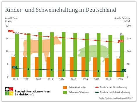 Wie Viele Rinder Und Schweine Werden In Deutschland Gehalten Praxis Agrar