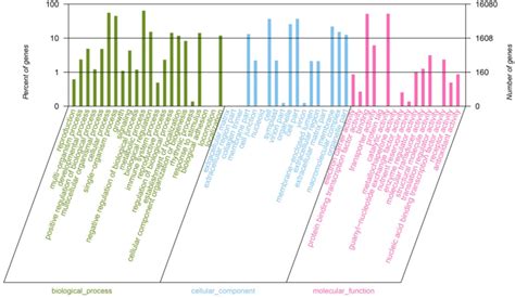 Gene Ontology Go Classification Of All Unigenes Results Are