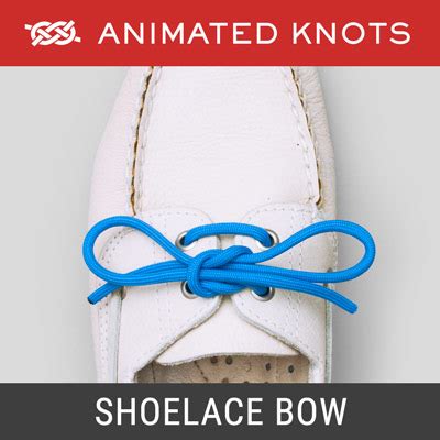 Shoelace Bow | How to tie a Shoelace Bow using Step-by-Step Animations ...