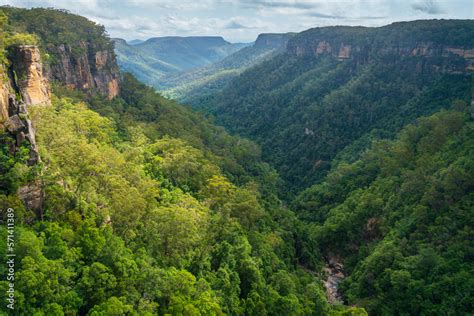 Spectacular View Of The Valley At Fitzroy Falls In Morton National Park