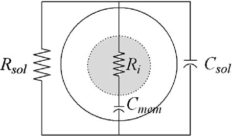 Simplified Equivalent Circuit Model Of A Single Cell In Suspension Download Scientific Diagram