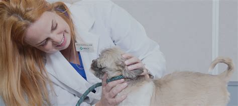 Home Page Merck Animal Health Usa