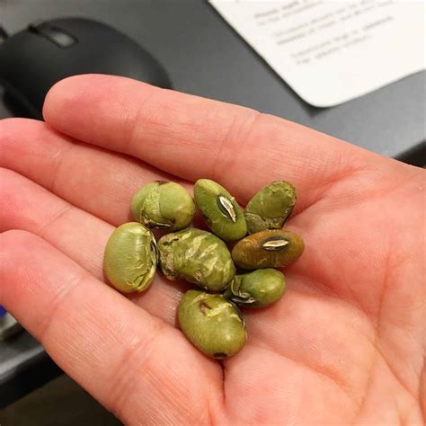 Unlock Secrets Locked Behind This Flavorful September Subscription news