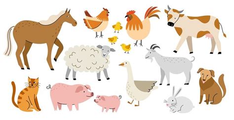 Animal Clipart