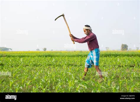 Indian Farmer Working In Agriculture Field Stock Photo Alamy