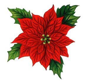 Christmas Poinsettia Clipart - ClipArt Best